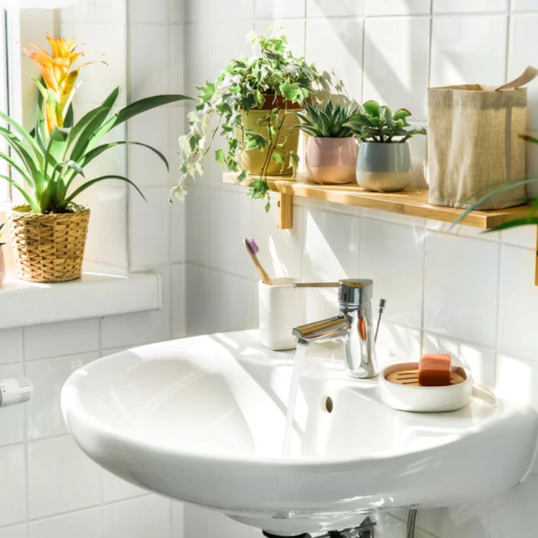 How Can I Make My Bathroom Sustainable?