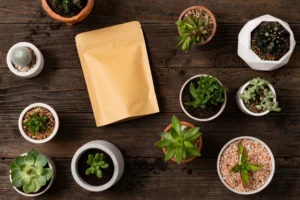 🟤 Kraft Standup Pouches: The Smart & Sustainable Packaging Choice 🌱