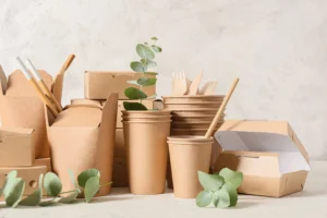 Sustainable Living in Pakistan: Eco-Friendly Products to Reduce Plastic Waste & Live Greener 🌍♻️