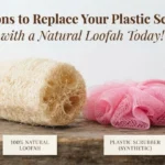 5 Reasons to Replace Your Plastic Scrubber with a Natural Loofah Today