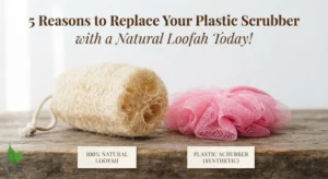 5 Reasons to Replace Your Plastic Scrubber with a Natural Loofah Today