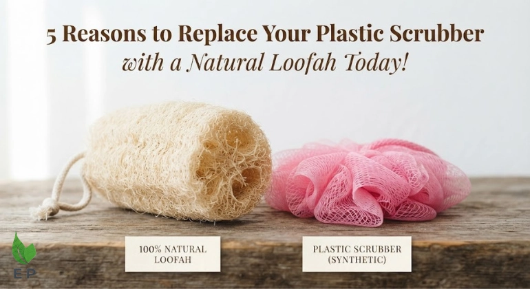 5 Reasons to Replace Your Plastic Scrubber with a Natural Loofah Today