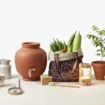 What is Sustainable Living? A Beginner’s Guide for Pakistanis