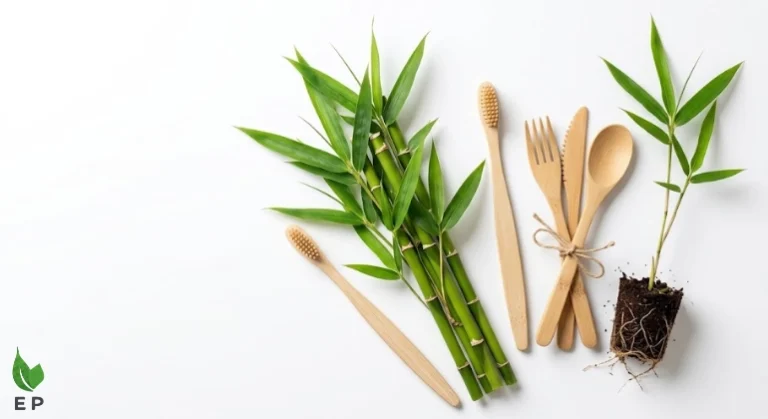 Why Bamboo is the Most Sustainable Material on Earth (And Why It’s Winning the Eco Race)