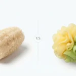 Natural Loofah vs Synthetic Sponge: Which Is Healthier for Your Skin?